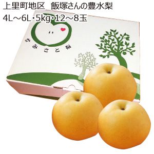 埼玉県産上里町地区飯塚さんの豊水梨4L〜6L・5kg・12〜8玉「お届け期間」2025/9/4〜2025/9/24【KN】
