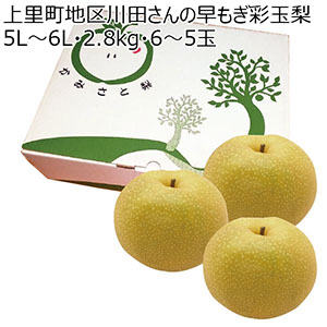 埼玉県産上里町地区川田さんの早もぎ彩玉梨5L〜6L・5kg・6〜5玉「お届け期間」2025/8/26〜2025/9/1【KN】