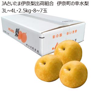 埼玉県産JAさいたま伊奈梨出荷組合伊奈町の幸水梨3L〜4L・2.5kg・8〜7玉「お届け期間」2025/7/31〜2025/8/31【KN】