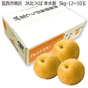 茨城県産筑西市地区JA北つくば 幸水梨5kg・12〜10玉「お届け期間」2025/8/2〜2025/8/22【KN】