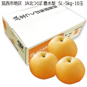 茨城県産筑西市地区JA北つくば 豊水梨5L・5kg・10玉「お届け期間」2025/8/30〜2025/9/20【KN】