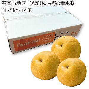 茨城県産石岡市地区JA新ひたち野の幸水梨3L・5kg・14玉「お届け期間」2025/8/2〜2025/8/23【KN】