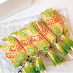 茨城県お菓子のきくち茨城メロン100％アイスキャンデー10本入「お届け期間」2025/7/1〜2025/9/10【KN】