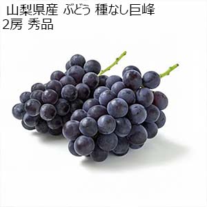山梨県産 ぶどう 種なし巨峰 2房 秀品【限定300点】【お届け期間：7月28日〜8月10日】【超！ナツ夏祭り】
