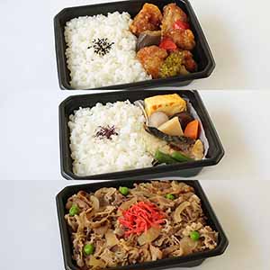 レンジでお手軽弁当3種セット(鶏と野菜の彩り弁当、和惣菜弁当、牛丼)各×1個 計3個【サクワ】【お買い得セール6月】