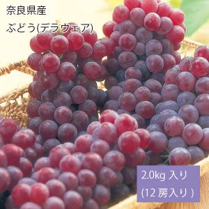 奈良県産ぶどう(デラウェア)2.0kg入り(12房入り)(お届け期間:7月1日〜7月31日)【NN】