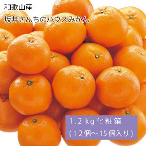 和歌山県産 坂井さんちのハウスみかん 1.2kg化粧箱(12個〜15個入り)(お届け期間:7月1日〜8月7日)【NN】