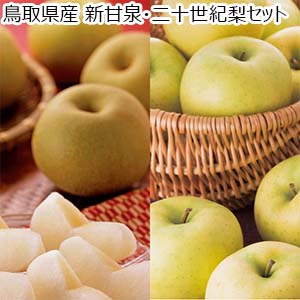 鳥取県産 新甘泉・二十世紀梨セット【限定100点】【お届け期間：8月25日〜9月16日】【イオンゴールドカード会員さま限定特別セール7月】