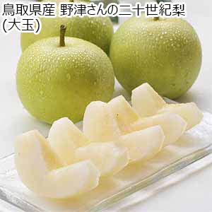 鳥取県産 野津さんの二十世紀梨(大玉) 3kg【限定100点】【お届け期間：8月20日〜9月25日】【イオンゴールドカード会員さま限定特別セール7月】