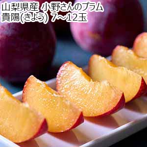 山梨県産 小野さんのプラム 貴陽(きよう) 7〜12玉【限定30点】【お届け期間：7月23日〜7月31日】【イオンゴールドカード会員さま限定特別セール7月】