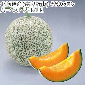 北海道産(富良野市) ふらのメロン ハーベスト 大玉1玉【お届け期間：7月10日〜9月30日】【北海道フェア】
