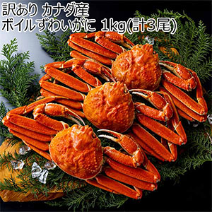 訳あり カナダ産 ボイルずわいがに 1kg(計3尾)【おいしいお取り寄せ】