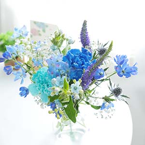 おうちで楽しむブーケの定期便 M 竹中庭園緑化 おうちで楽しむブーケの定期便 M 6月