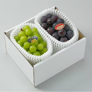 ぶどう 人気の果物 お取り寄せ通販 イオンショップ【公式】