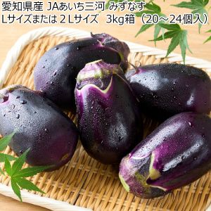 愛知県産 JAあいち三河 みずなす Lサイズまたは2Lサイズ 3kg箱(20〜24個入)【CB】