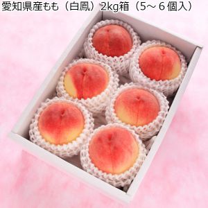 愛知県産 もも(白鳳) 2kg箱(5〜6個入)【CB】