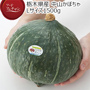 栃木県産 中山かぼちゃ Lサイズ1500g【お届け期間：7月15日〜8月15日】【フードアルチザン】