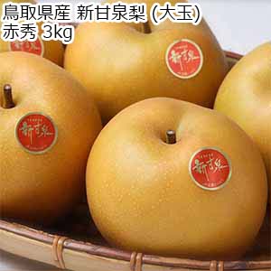 鳥取県産 新甘泉梨 (大玉) 赤秀 3kg【限定100点】【お届け期間：8月20日〜9月25日】【イオンゴールドカード会員さま限定特別セール7月】