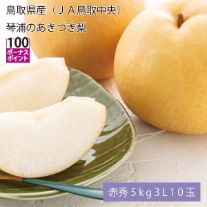 鳥取県産(JA鳥取中央) 琴浦のあきづき梨 赤秀5kg3L10玉(お届け期間:9月8日〜9月25日)【NN】
