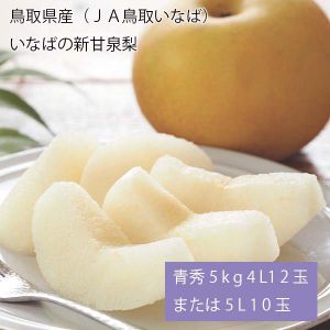 鳥取県産(JA鳥取いなば) いなばの新甘泉梨 青秀5kg4L12玉または5L10玉(お届け期間:8月20日〜9月15日)【NN】