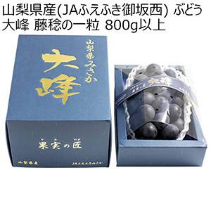 山梨県産(JAふえふき御坂西) ぶどう 大峰 藤稔の一粒 800g以上【限定30点】【お届け期間：7月25日〜8月10日】【おいしいお取り寄せ】