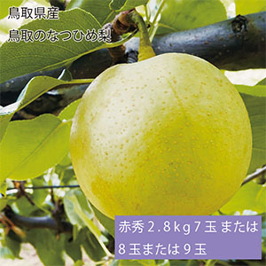 鳥取県産 鳥取のなつひめ梨 赤秀2.8kg7玉または8玉または9玉(お届け期間:8月20日〜9月5日)【NN】