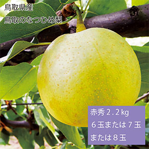 鳥取県産 鳥取のなつひめ梨 赤秀2.2kg6玉または7玉または8玉(お届け期間:8月20日〜9月5日)【NN】