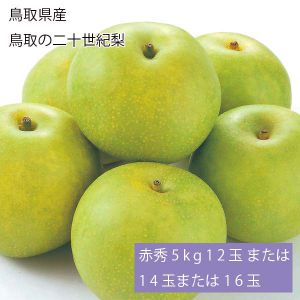 鳥取県産 鳥取の二十世紀梨 赤秀5kg12玉または14玉または16玉(お届け期間:9月1日〜9月20日)【NN】