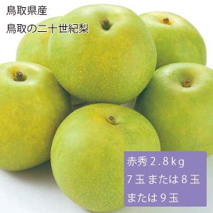 鳥取県産 鳥取の二十世紀梨 赤秀2.8kg7玉または8玉または9玉(お届け期間:9月1日〜9月20日)【NN】