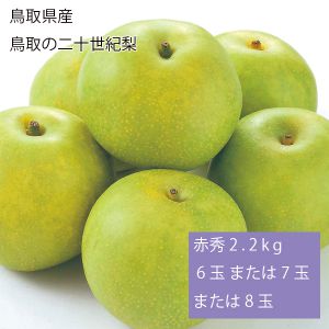 鳥取県産 鳥取の二十世紀梨 赤秀2.2kg6玉または7玉または8玉(お届け期間:9月1日〜9月20日)【NN】