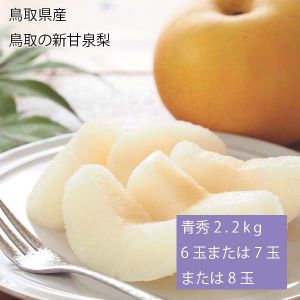 鳥取県産 鳥取の新甘泉梨 青秀2.2kg6玉または7玉または8玉(お届け期間:9月1日〜9月15日)【NN】