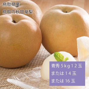 鳥取県産 鳥取の秋甘泉梨 青秀5kg12玉または14玉または16玉(お届け期間:9月10日〜9月25日)【NN】