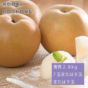 鳥取県産 鳥取の秋甘泉梨 青秀2.8kg7玉または8玉または9玉(お届け期間:9月10日〜9月25日)【NN】