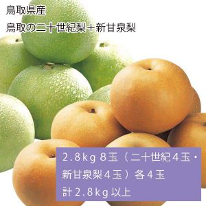 鳥取県産 鳥取の二十世紀梨＋新甘泉梨 2.8kg8玉(二十世紀梨4玉・新甘泉梨4玉) 各4玉、計2.8kg以上(お届け期間:9月1日〜9月15日)【NN】