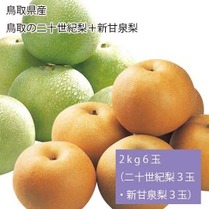 鳥取県産 鳥取の二十世紀梨＋新甘泉梨 2kg6玉(二十世紀梨3玉・新甘泉梨3玉)(お届け期間:9月1日〜9月15日)【NN】
