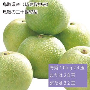 鳥取県産(JA鳥取中央) 鳥取の二十世紀梨 青秀10kg24玉または28玉または32玉(お届け期間:9月1日〜9月15日)【NN】