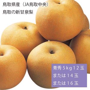 鳥取県産(JA鳥取いなば) 鳥取の新甘泉梨 青秀5kg12玉または14玉または16玉(お届け期間:9月1日〜9月15日)【NN】