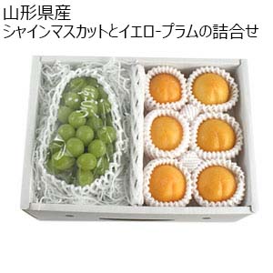 山形県産 シャインマスカットとイエロープラムの詰合せ【限定100点】【お届け期間：9月11日〜9月15日】【敬老の日】