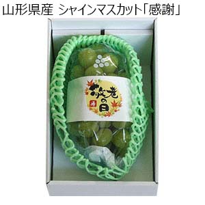 山形県産 シャインマスカット「感謝」【限定100点】【お届け期間：9月11日〜9月15日】【敬老の日】