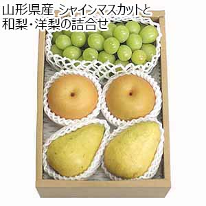 山形県産 シャインマスカットと和梨・洋梨の詰合せ【限定100点】【お届け期間：9月11日〜9月15日】【敬老の日】