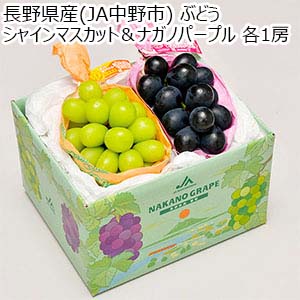 専用出品 南アルプス市産シャインマスカットジャム　50個セット 5 南アルプス市からシャインマスカットが届く。甘くて美味しい