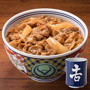吉野家 牛丼の具 普通盛り ２０個セット 送料込み価格（賞味期限：２６年１月） 吉野家 牛丼の具 普通盛り 20個セット 送料込み価格（賞味期限