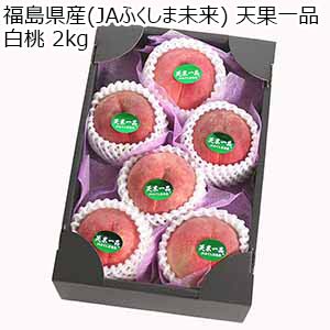 福島県産(JAふくしま未来) 天果一品 白桃 2kg【限定100点】【お届け期間：8月20日〜9月18日】【サマーセール】