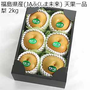福島県産(JAふくしま未来) 天果一品 梨 2kg【限定100点】【お届け期間：8月20日〜9月18日】【サマーセール】