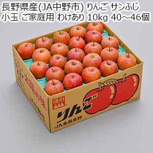 長野県産(JA中野市) りんご サンふじ 小玉 ご家庭用 わけあり 10kg 40〜46個【お届け期間：11月25日〜12月25日】【サマーセール】