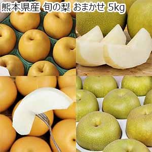 熊本県産 旬の梨 おまかせ 5kg【お届け期間：8月15日〜9月20日】【サマーセール】