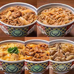 吉野家 丼の具5種・計10食セット(L7754)【吉野家まつり】【サクワ】