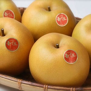 旬とごちそうコース「バイヤー厳選!旬の果物」 鳥取県産 大山山麓でつくられた新甘泉梨(大玉) 3kg