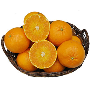 旬とごちそうコース「バイヤー厳選！旬の果物」　佐賀県産 柑橘 にじゅうまる 5〜6個 1.5kg 化粧箱入り