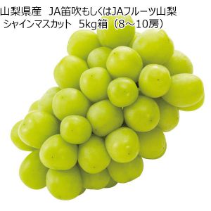 山梨県産 JA笛吹もしくはJAフルーツ山梨 シャインマスカット 5kg箱(8〜10房)【CB】